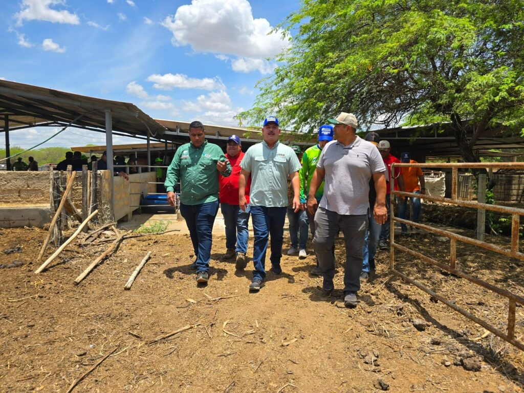 Plan de Caracterización del Ganado Bovino avanza en el Zulia con el abordaje de 7.800 predios
